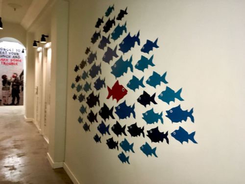 Imagen de Vinilos <24h